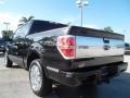 Tuxedo Black Metallic - F150 Platinum SuperCrew Photo No. 9