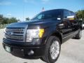 2011 Tuxedo Black Metallic Ford F150 Platinum SuperCrew  photo #14