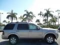 2008 Vapor Silver Metallic Ford Explorer XLT  photo #5