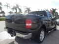 Black - F150 Lariat SuperCrew Photo No. 6