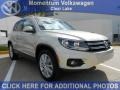 White Gold Metallic - Tiguan SE Photo No. 1