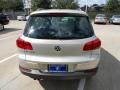 White Gold Metallic - Tiguan SE Photo No. 6