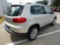 White Gold Metallic - Tiguan SE Photo No. 7