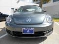 Platinum Gray Metallic - Beetle 2.5L Photo No. 2