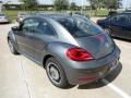 Platinum Gray Metallic - Beetle 2.5L Photo No. 5