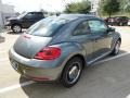 Platinum Gray Metallic - Beetle 2.5L Photo No. 7
