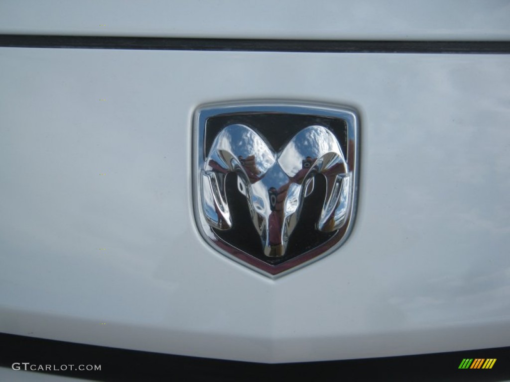 2010 Challenger SE - Stone White / Dark Slate Gray photo #22