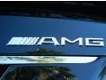 2008 Mercedes-Benz S 63 AMG Sedan Marks and Logos