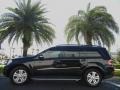 2007 Obsidian Black Metallic Mercedes-Benz GL 450  photo #1