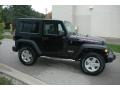 Black - Wrangler Sport 4x4 Photo No. 13