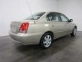 2006 Champagne Beige Hyundai Elantra GLS Sedan  photo #11