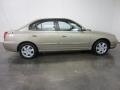 2006 Champagne Beige Hyundai Elantra GLS Sedan  photo #13