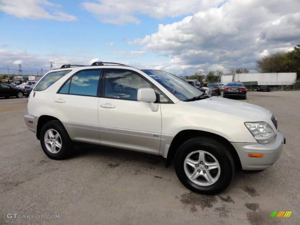 2001 RX 300 AWD - White Gold Crystal / Ivory photo #6