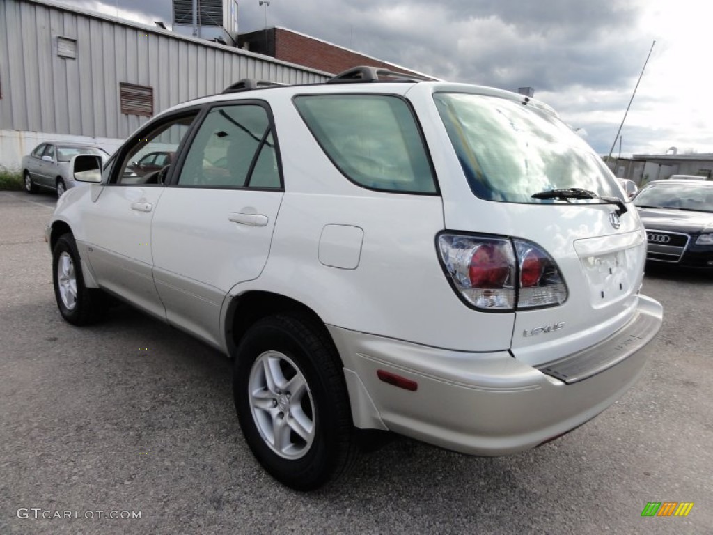 2001 RX 300 AWD - White Gold Crystal / Ivory photo #10