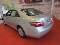 Titanium Metallic - Camry XLE V6 Photo No. 6
