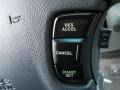 Steel Gray - Sonata GLS V6 Photo No. 10