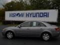 Steel Gray - Sonata GLS V6 Photo No. 17