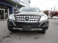 Black - ML 350 4Matic Photo No. 2