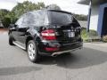 Black - ML 350 4Matic Photo No. 10