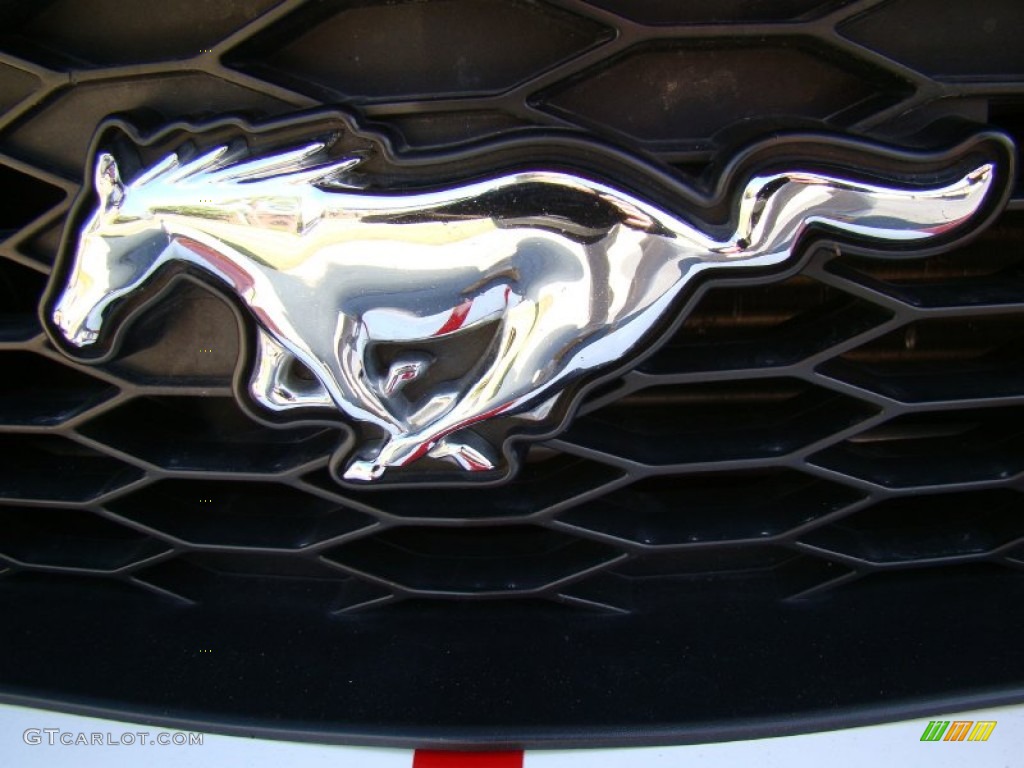 2006 Ford Mustang Roush Stage 1 Coupe Marks and Logos Photos