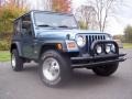 Gunmetal Pearlcoat - Wrangler Sport 4x4 Photo No. 49