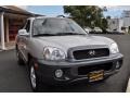 2001 Pewter Hyundai Santa Fe GL V6 4WD  photo #4