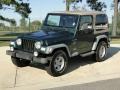 Forest Green Pearl - Wrangler Sport 4x4 Photo No. 10