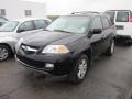 Nighthawk Black Pearl - MDX Touring Photo No. 3