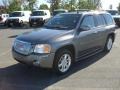 Steel Grey Metallic 2006 GMC Envoy Denali