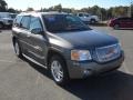 Steel Grey Metallic - Envoy Denali Photo No. 5