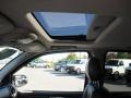 Steel Grey Metallic - Envoy Denali Photo No. 10
