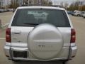 Titanium Metallic - RAV4  Photo No. 11