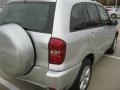 Titanium Metallic - RAV4  Photo No. 12