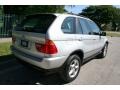 2001 Titanium Silver Metallic BMW X5 4.4i  photo #9