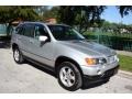 2001 Titanium Silver Metallic BMW X5 4.4i  photo #14