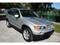 2001 Titanium Silver Metallic BMW X5 4.4i  photo #15