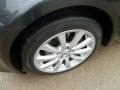 2008 Smoky Granite Mica Lexus IS 250 AWD  photo #9