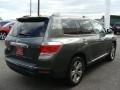 Cypress Green Pearl - Highlander Limited 4WD Photo No. 4