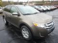 Mineral Grey Metallic 2012 Ford Edge SEL AWD Exterior