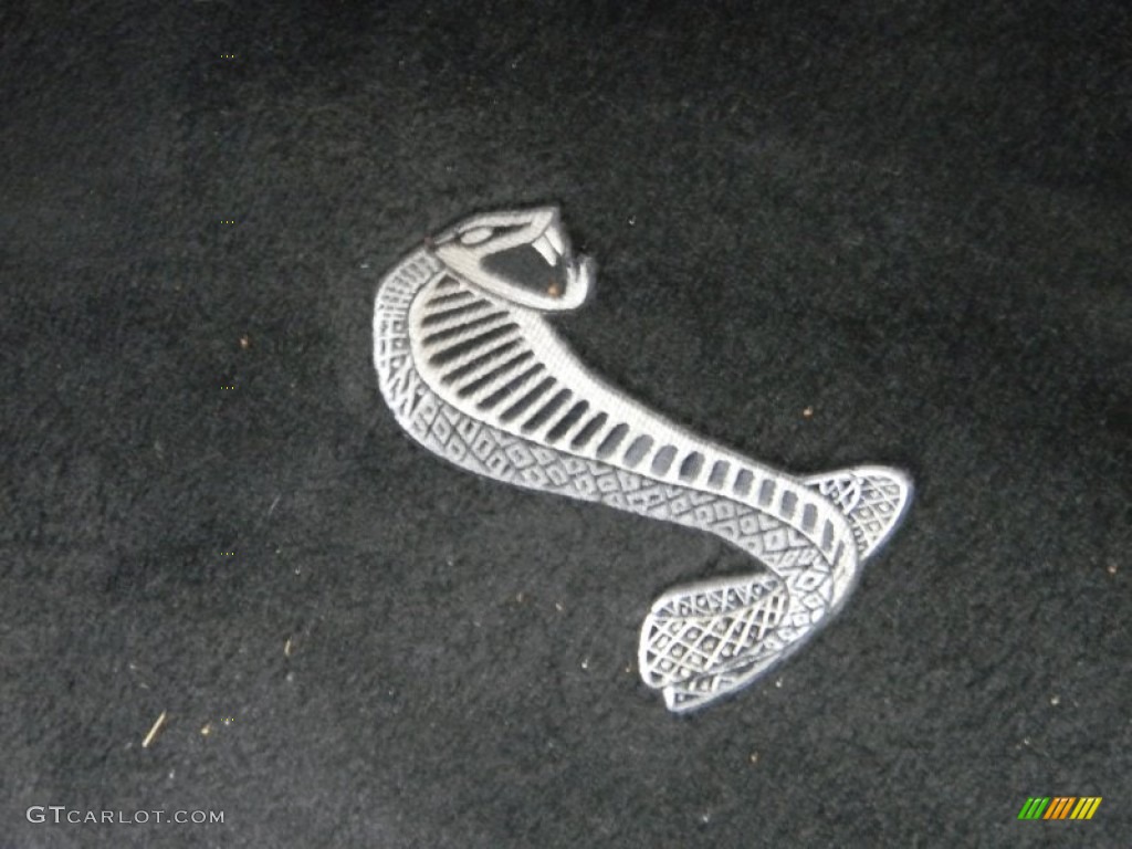 2007 Mustang Shelby GT500 Coupe - Torch Red / Black/Red photo #27