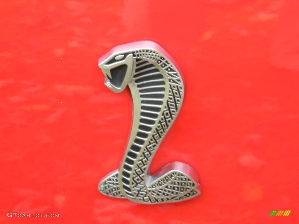 2007 Mustang Shelby GT500 Coupe - Torch Red / Black/Red photo #42