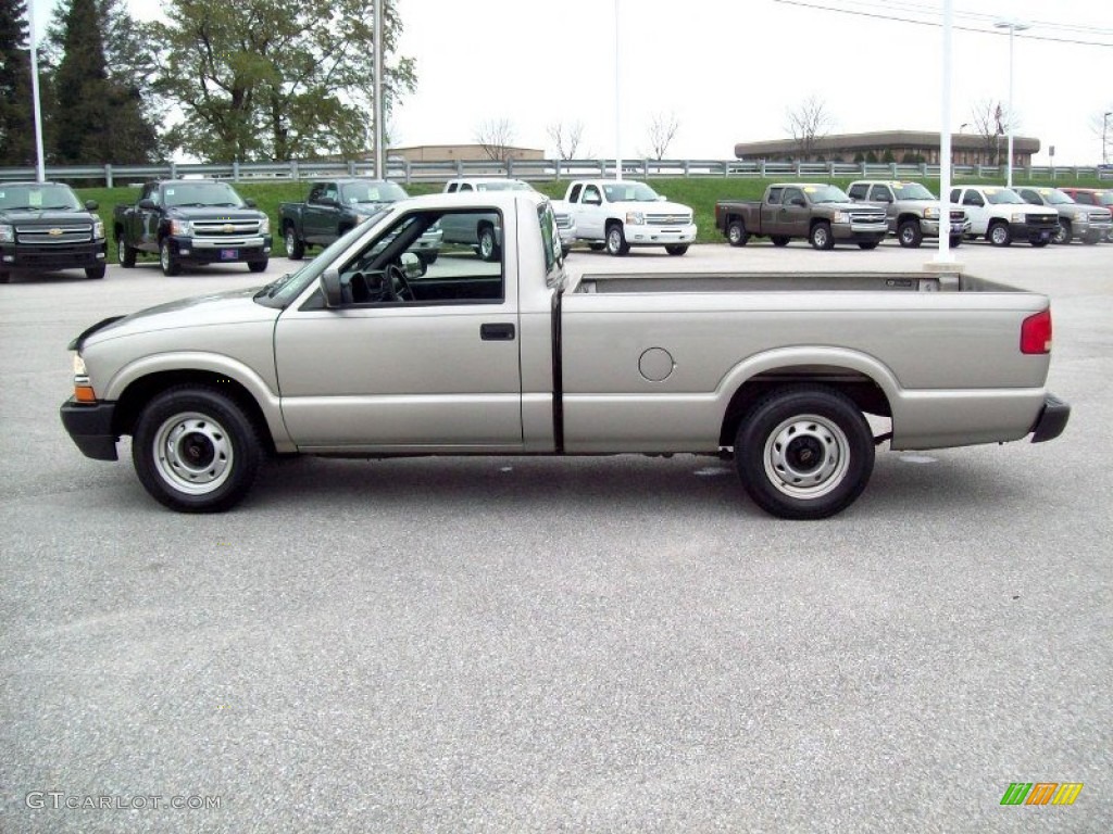 Light Pewter Metallic 2003 Chevrolet S10 Regular Cab Exterior Photo #55598371