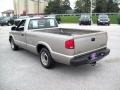 Light Pewter Metallic - S10 Regular Cab Photo No. 17