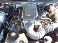 4.6 Liter SOHC 24-Valve VVT V8 Engine for 2009 Ford Mustang GT Premium Coupe #55600447