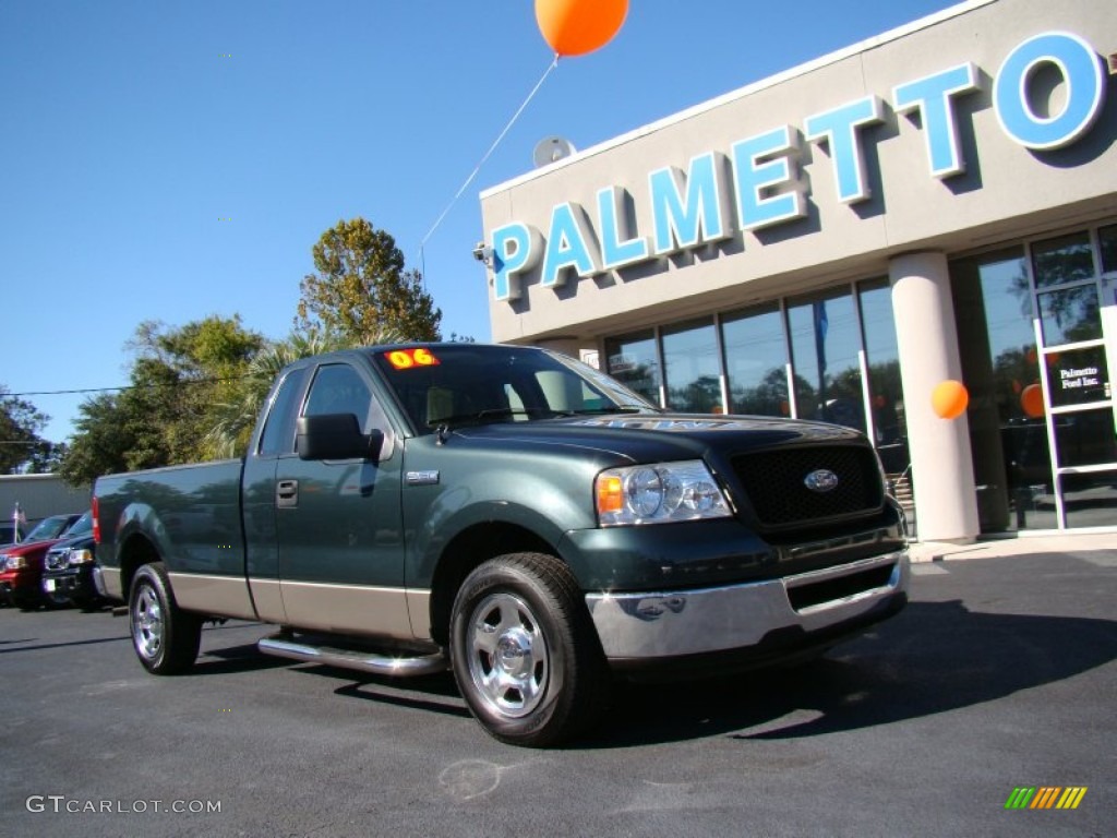 2006 F150 XLT Regular Cab - Aspen Green Metallic / Tan photo #2