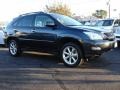 Smokey Granite - RX 350 AWD Photo No. 2