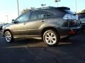 Smokey Granite - RX 350 AWD Photo No. 3
