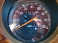 1986 Ford Bronco II Red Interior Gauges Photo