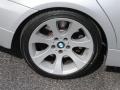 2008 Titanium Silver Metallic BMW 3 Series 335i Sedan  photo #8