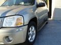 2003 Pewter Metallic GMC Envoy XL SLT  photo #9